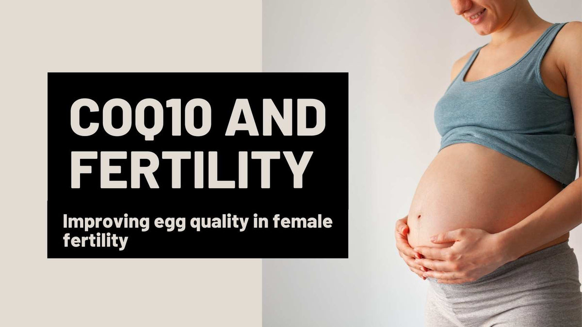 CoQ10 and fertility Improving egg quality in female fertility