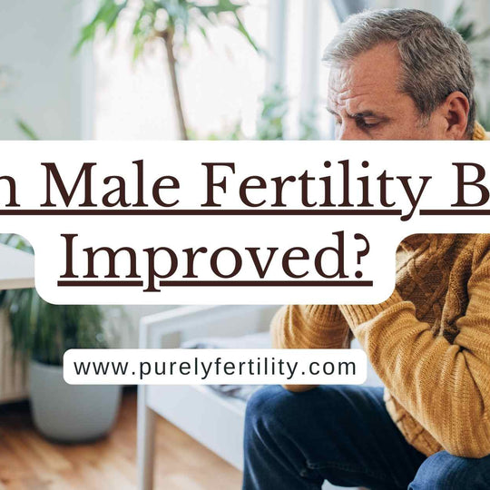 Can Male Fertility Be Improved? A detailed Guide to Boosting Male Reproductive Health