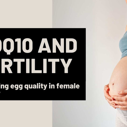 CoQ10 and fertility – Improving egg quality in female fertility